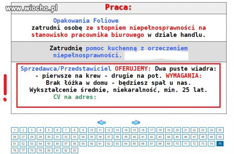 Oferta pracy