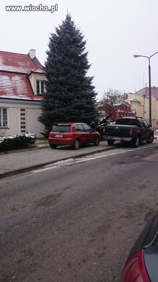 Mistrzowie parkowania 