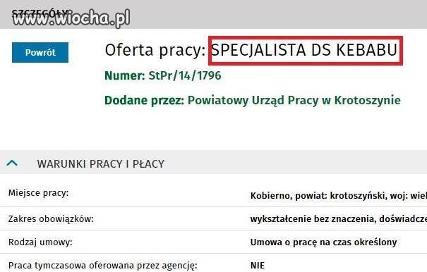 Specjalista to Specjalista