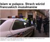W sumie to też ludzie...
