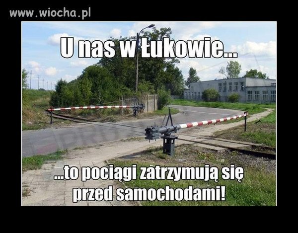 Bez tytułu