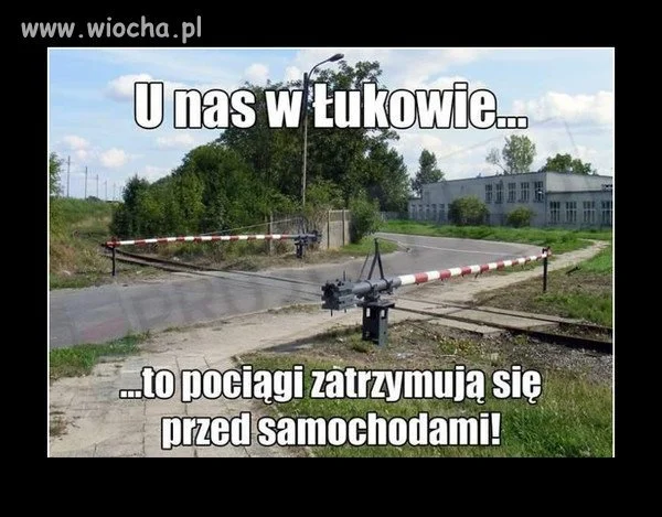Bez tytułu