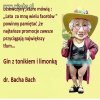 Dr. Bacha Bach