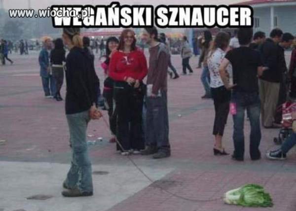 Każdy ma swojego pupila..