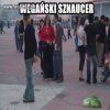 Każdy ma swojego pupila..
