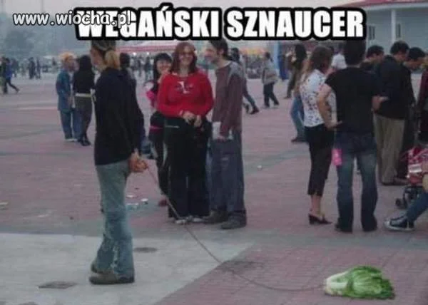 Każdy ma swojego pupila..