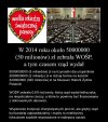 Możemy sobie tylko "pogdybać" 