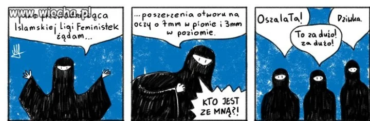 Feministki w islamie