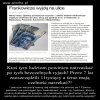 Bo to Polska właśnie 