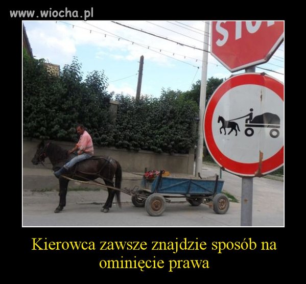Każdy przepis można obejść 