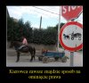 Każdy przepis można obejść 