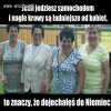 Nic dodać ...