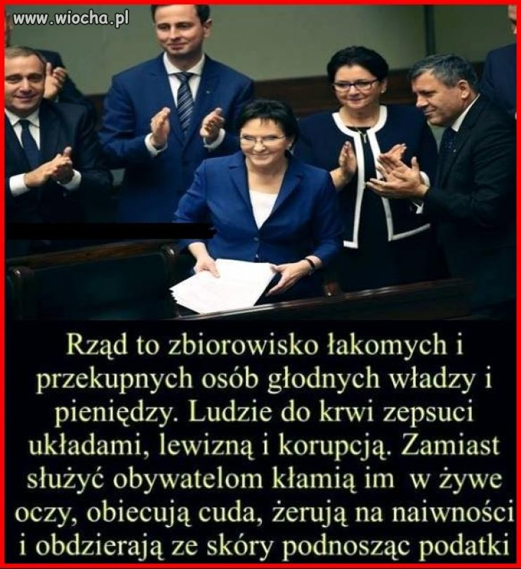 Brawo wyborcy PO