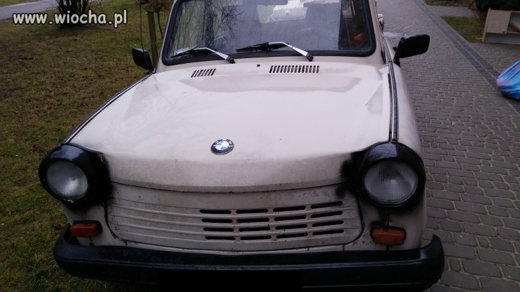 ...Frog M3...