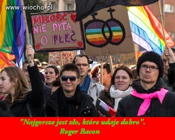 Homo w jednym zdaniu.