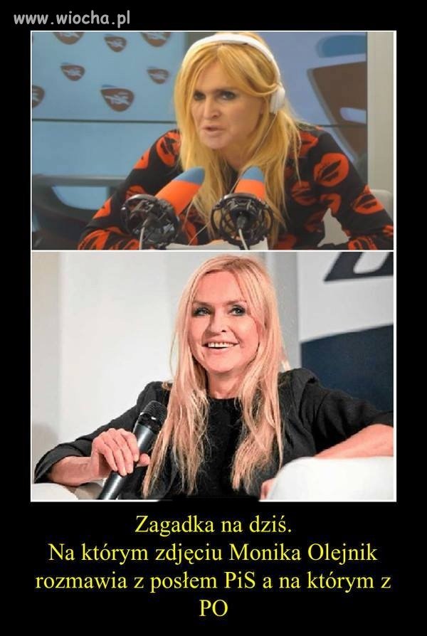 Stokrotka rosła polna