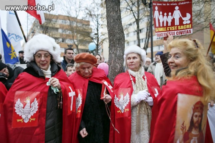 Polska delegacja na wiecu w Paryżu