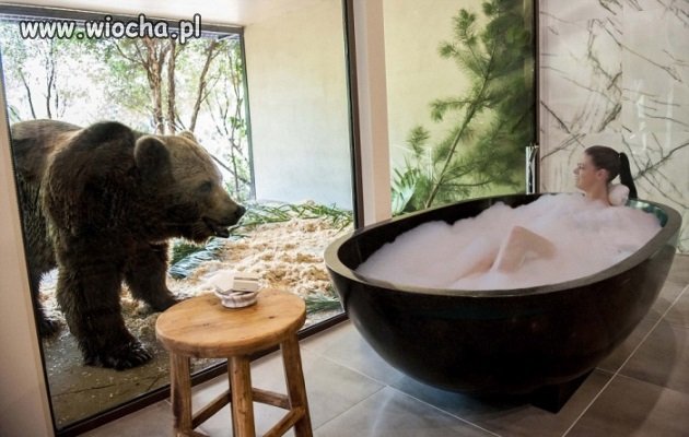 Hotel w Australijskim ZOO
