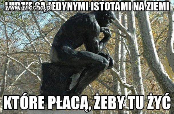 Logika...