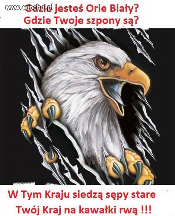 Precz z sępami