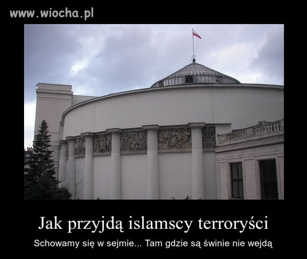 Z DRUGIEJ STRONY DOBRZE ŻE SĄ TE ŚWINIE 