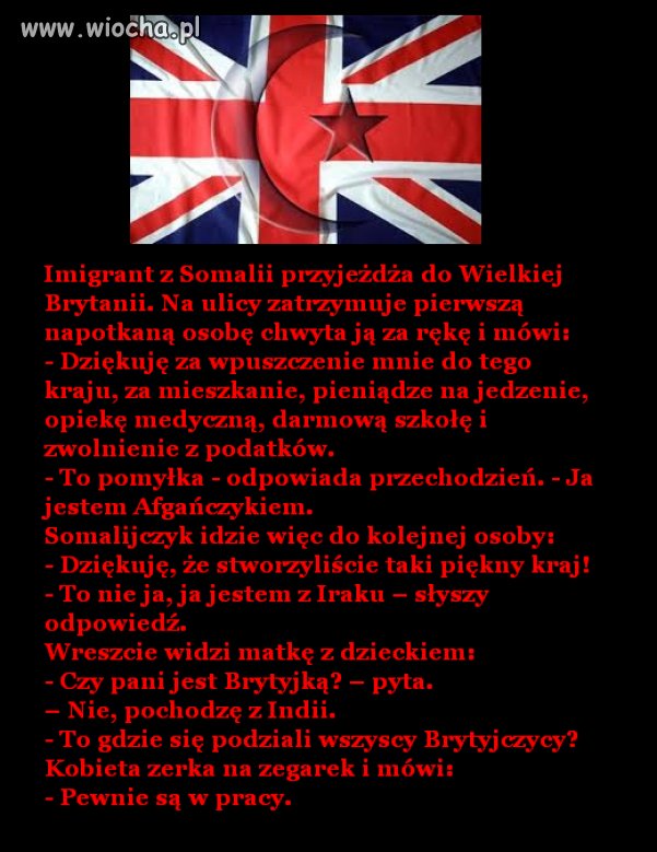 Plaga imigrantów, tak właśnie to wygląda ...