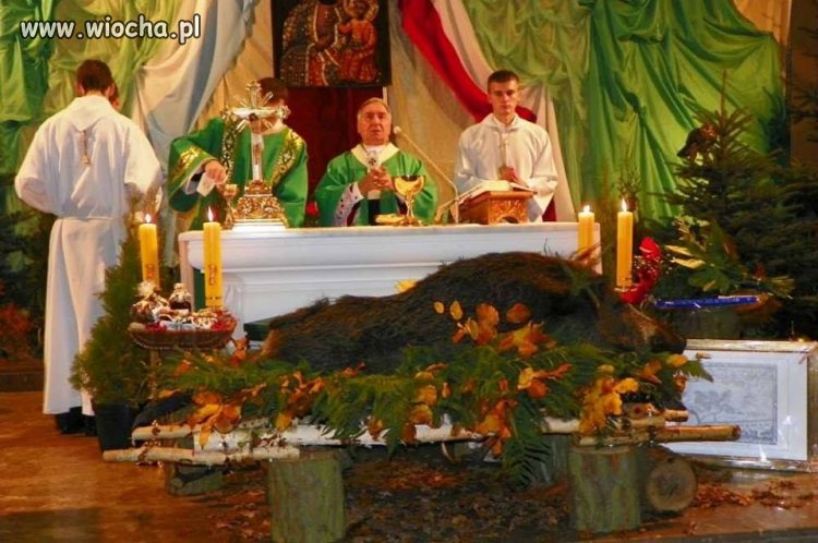 Uczta będzie.
