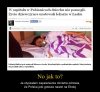 Wszystko niby w porządku