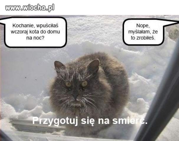 Wpuściłaś kota?