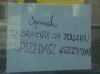 Pani Zosia zaszalała ze słownikiem