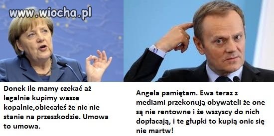 Wszystko co Polskie się ostało
