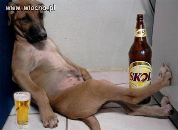 Dobra.