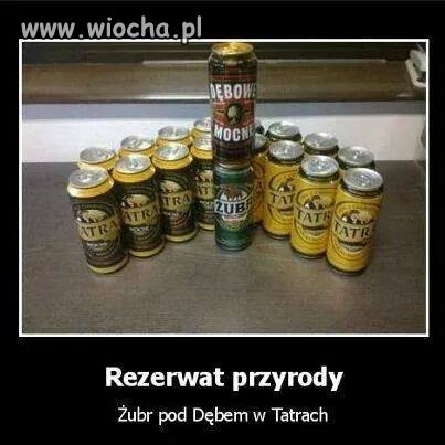 Takie tam w Tatrach