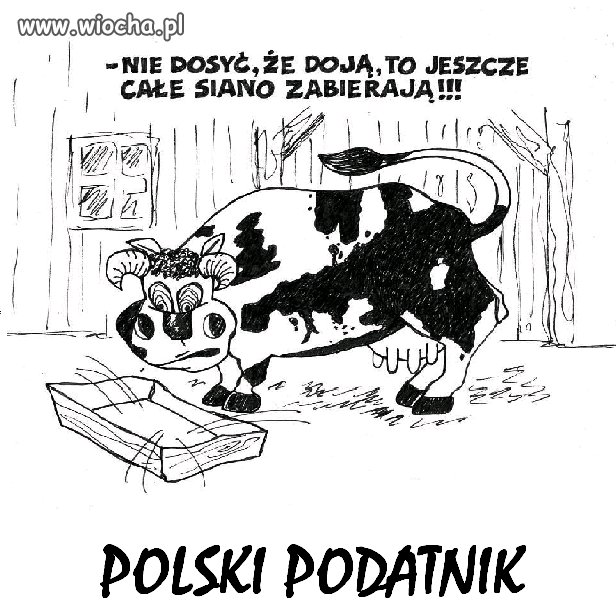 Polski podatnik...