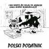 Polski podatnik...