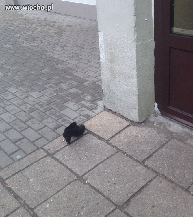 Gdzie jesteś Kopciuszku??