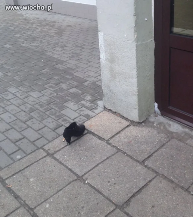 Gdzie jesteś Kopciuszku??