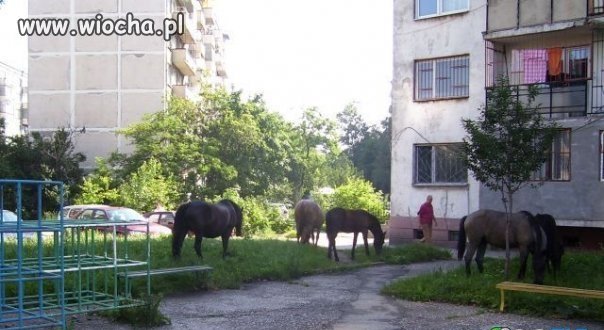 Plac zabaw dla dzieci.