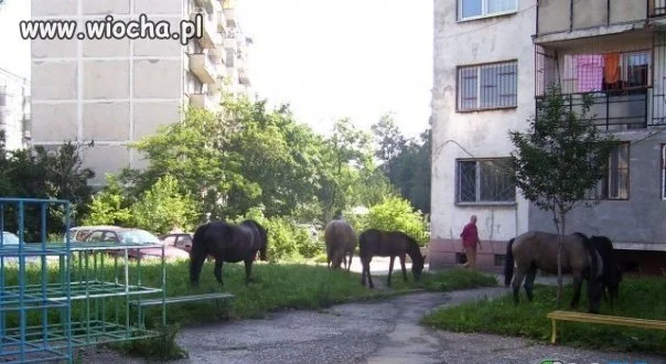 Plac zabaw dla dzieci.