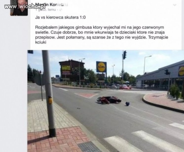 Zwykła świnia.