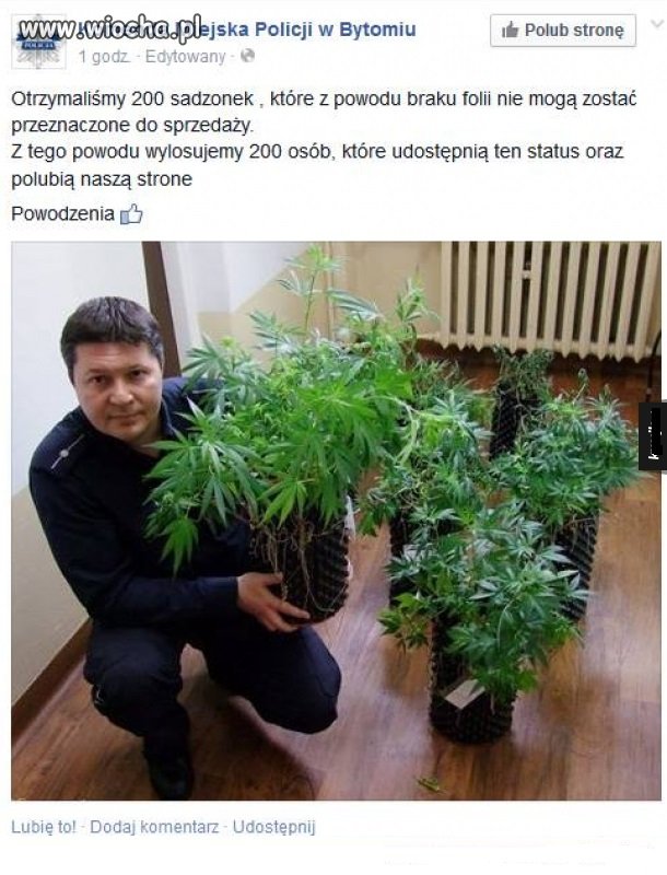 Komenda Miejska 