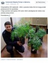 Komenda Miejska 
