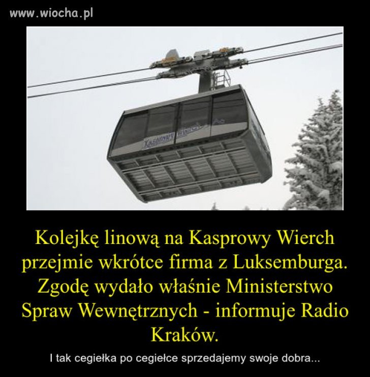 Bo nam się nic nie opłaca 
