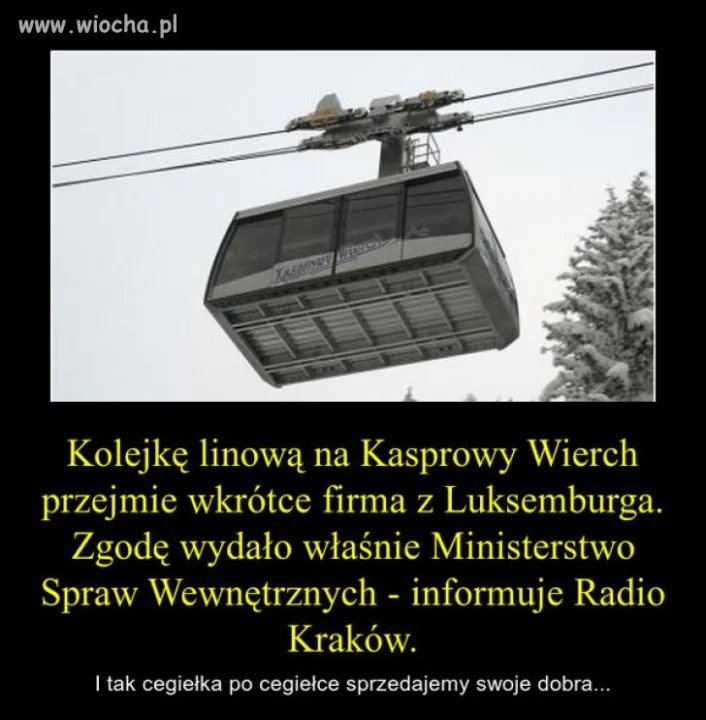 Bo nam się nic nie opłaca 