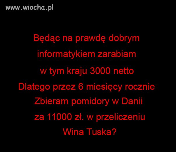 Czyja wina?