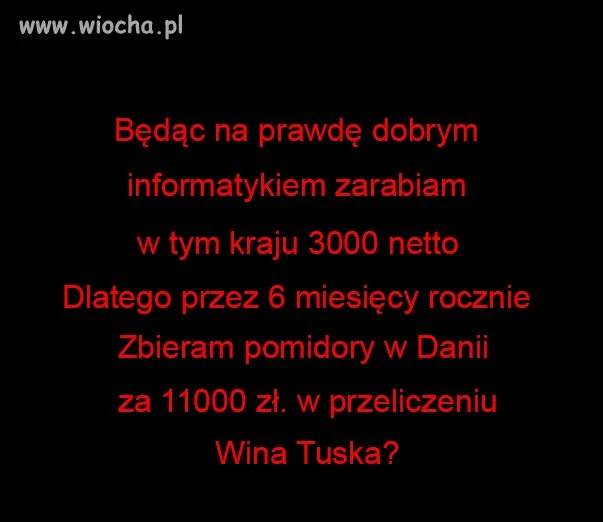 Czyja wina?