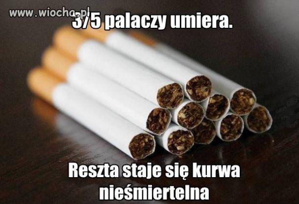 Palacze
