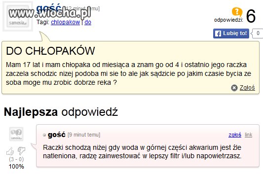 Jebłem hahaha