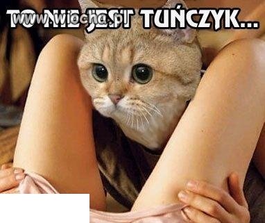 To nie jest