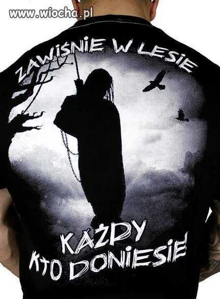 Zawiśnie w lesie